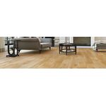 Parkett Ek Joy