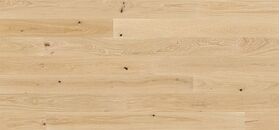 Parkett Ek Delight