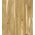 Parkett Ek Conchi Piccolo