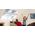 VELUX MHL | Anti-heat awning blind  | ORIGINAL VELUX PRODUCT