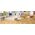 Parquet Oak Madeira Grande