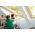 Pivåhängt takfönster med nedre handtaget VELUX GLL-B 1061 | 3-glas, Everfinish (träkärna med vitt hölje i polyuretan)